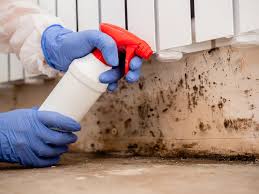 Best Mold Remediation for Vacation Homes  in Yelm, WA